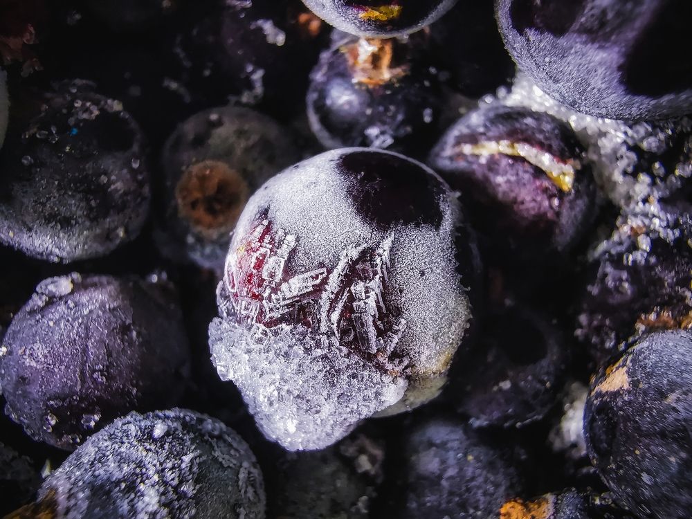 Photograph by Mariya Kolos