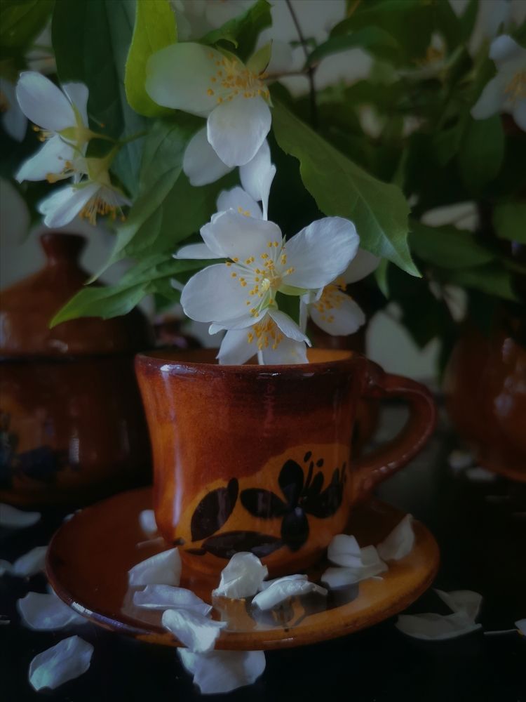 Photograph by Mariya Kolos