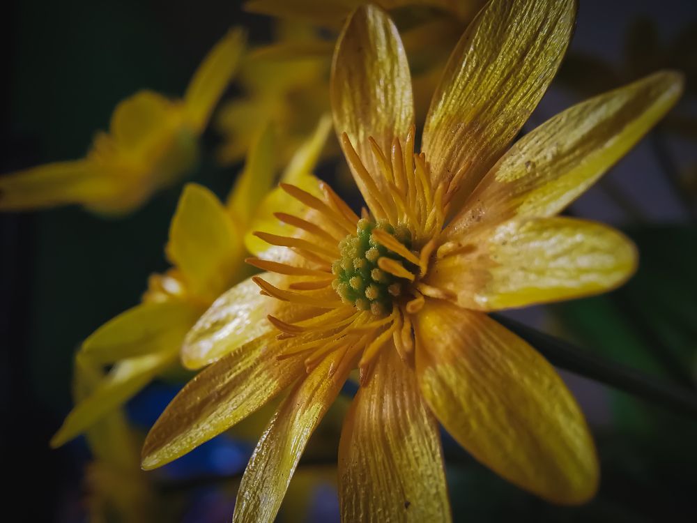 Photograph by Mariya Kolos