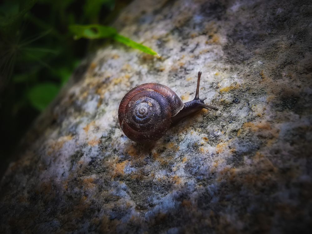 Photograph by Mariya Kolos