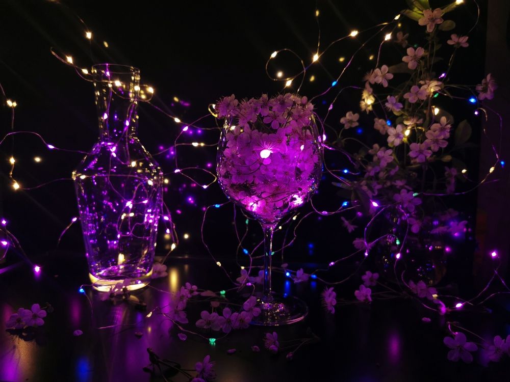 Photograph by Mariya Kolos