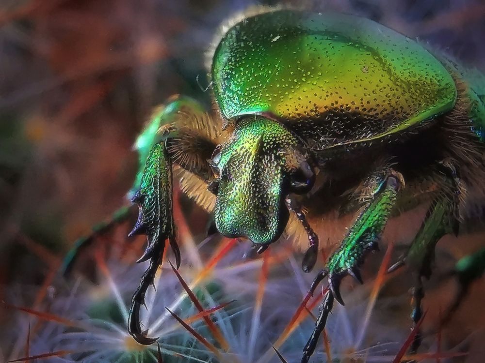 Photograph by Mariya Kolos