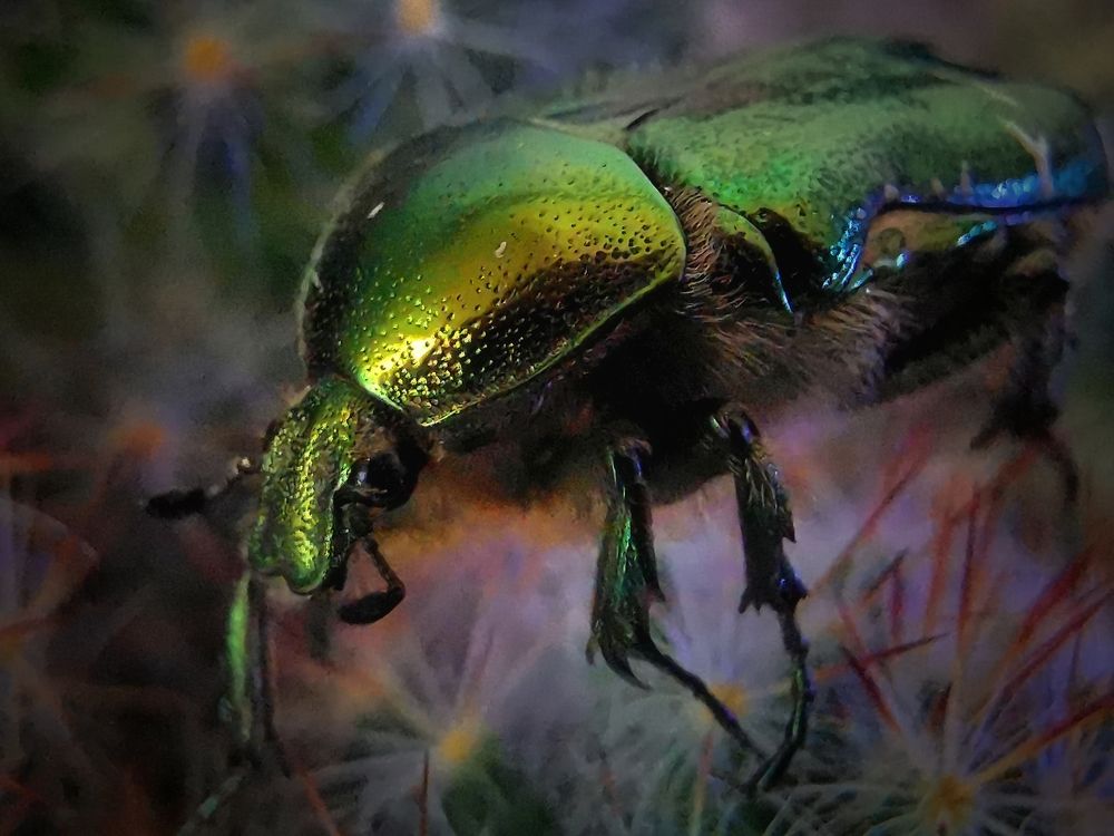 Photograph by Mariya Kolos