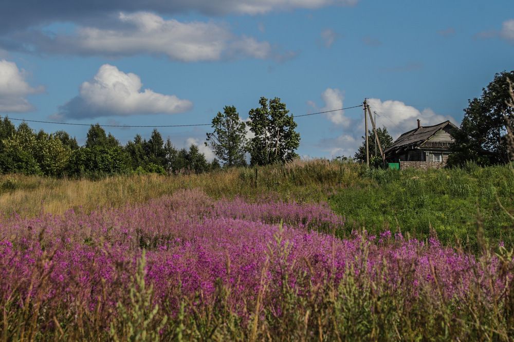 Photograph by Светлана Долгих