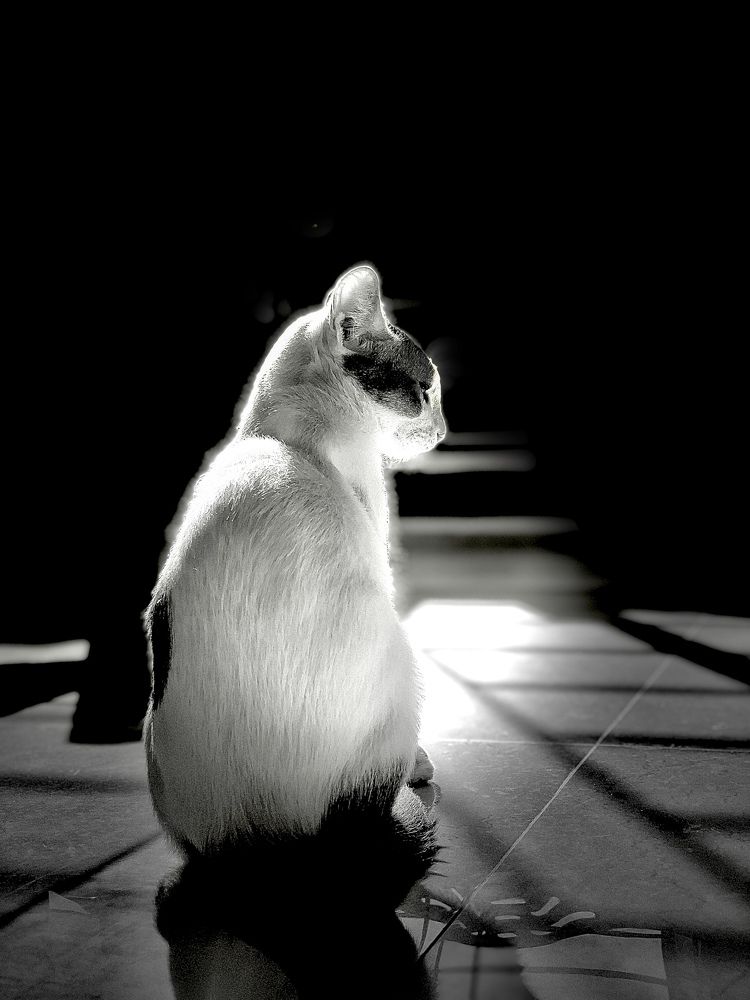 Photograph by Jubaida Begum