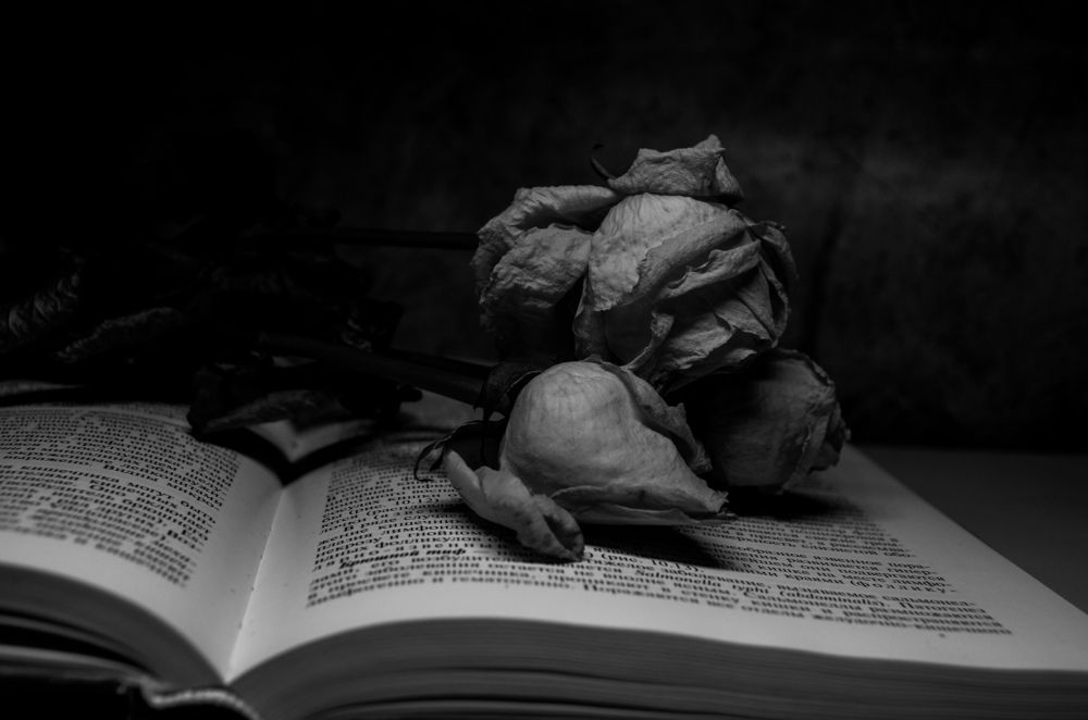 Photograph by Артём Серегин