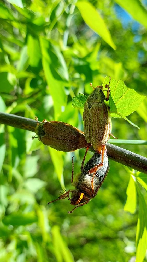 Photograph by ЭЛЬМИРА  ИСМАИЛОВА