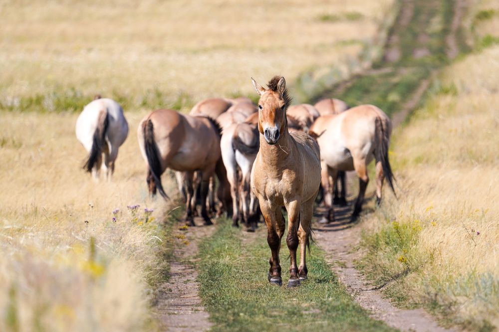 Photograph by Андрей Черкасов