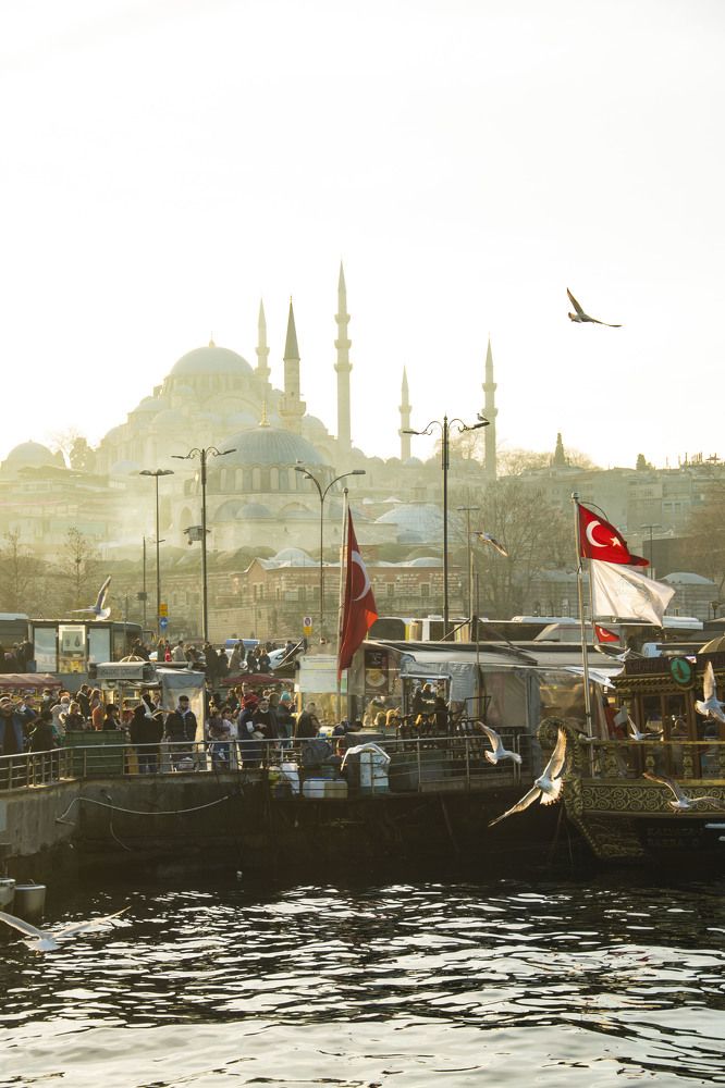 Photograph by Никита Касторный