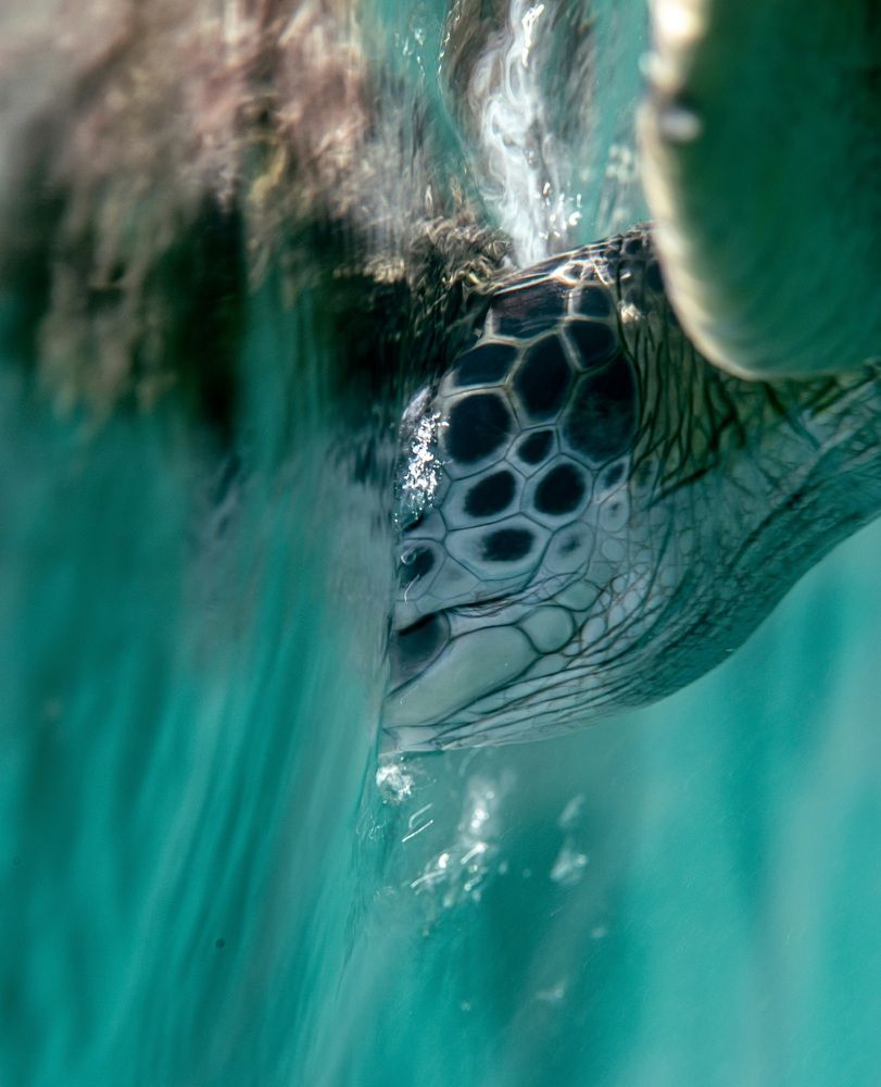 ❤️Sometimes you need to take a breath❤️