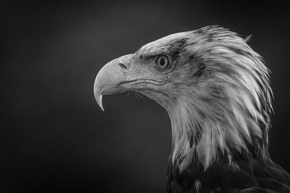 Photograph by Rami Mouakassa