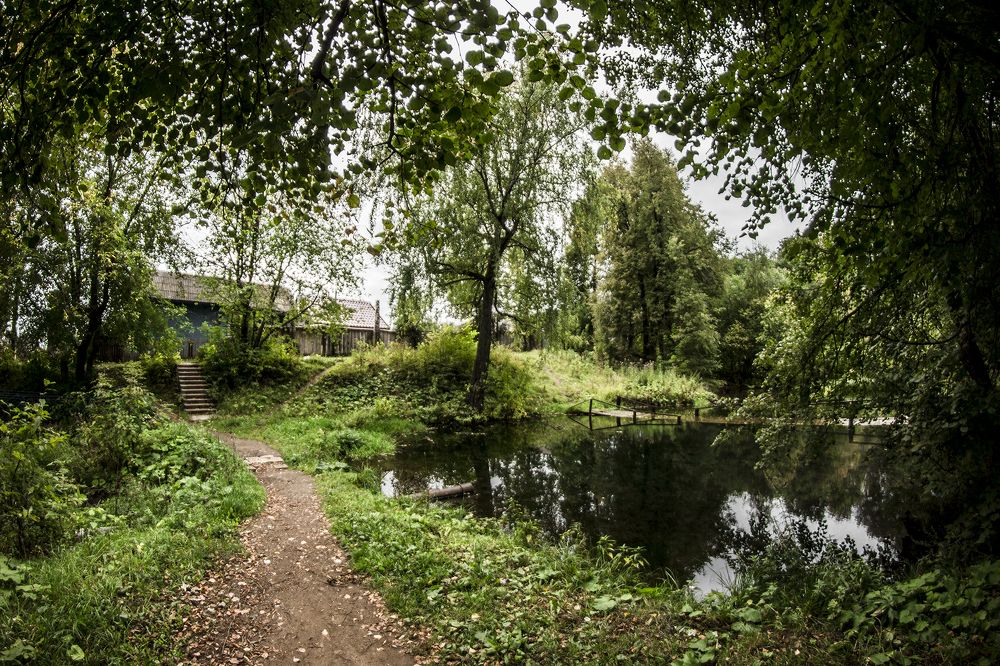 Фотография автора Андрей Рогов