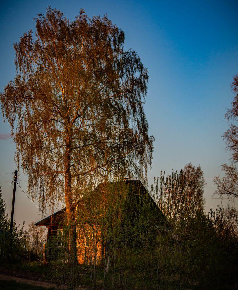 Photograph by Ольга Сафронова