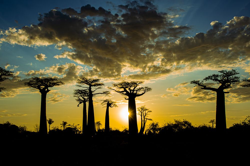 Photograph by Klimenko Tatyana