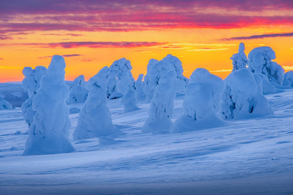 Photograph by Сергей Гук