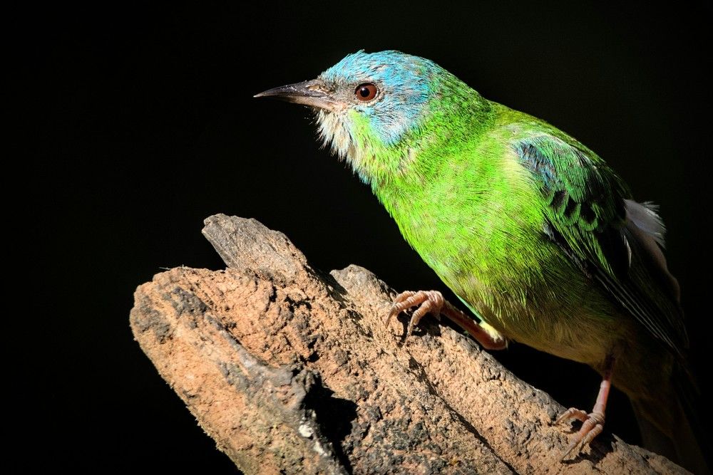 Photograph by Eduardo Bom