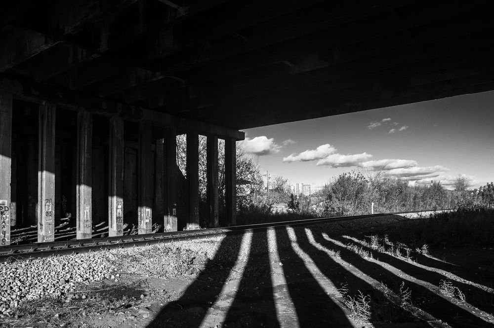 Фотография автора Андрей Рогов