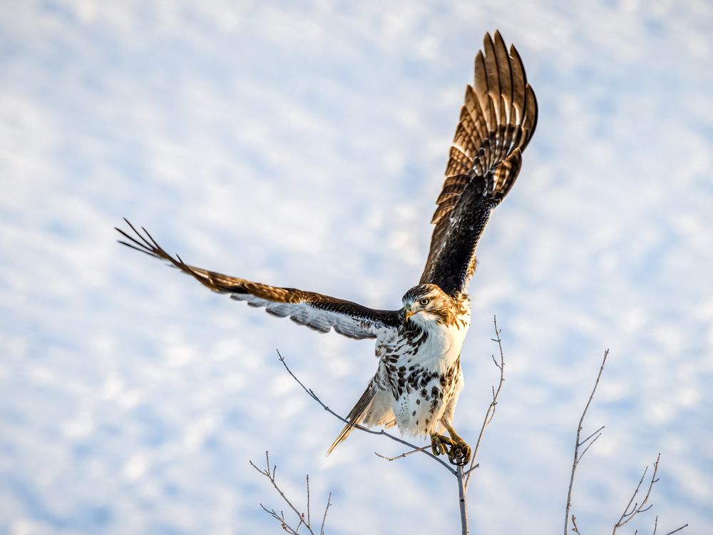 Photograph by Zhenhuan Zhou