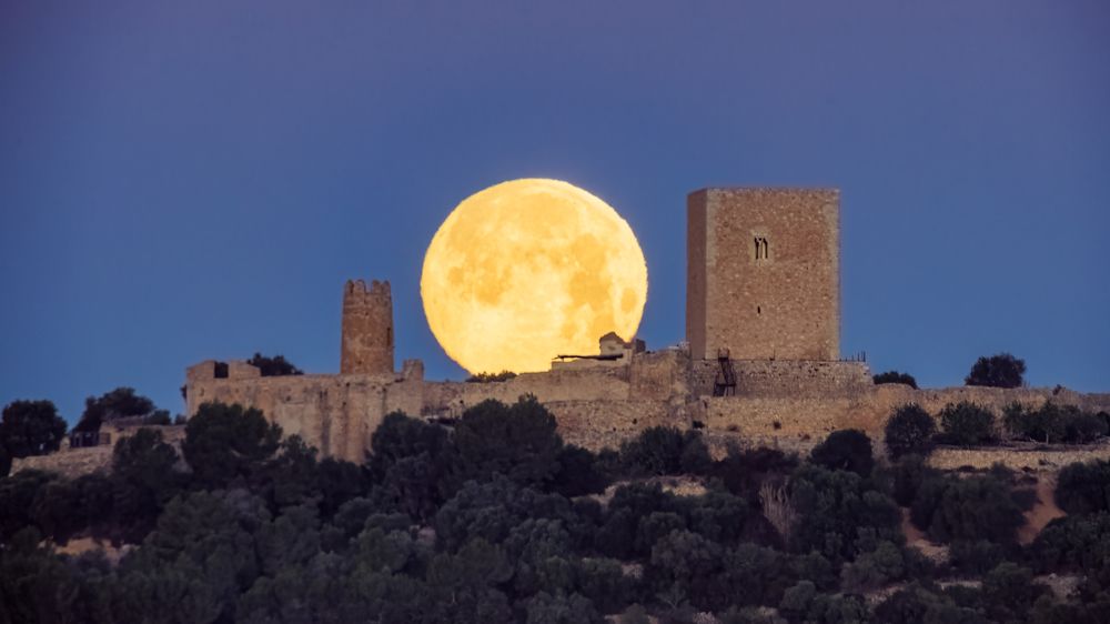 Photograph by Lluís Garcia Rovira