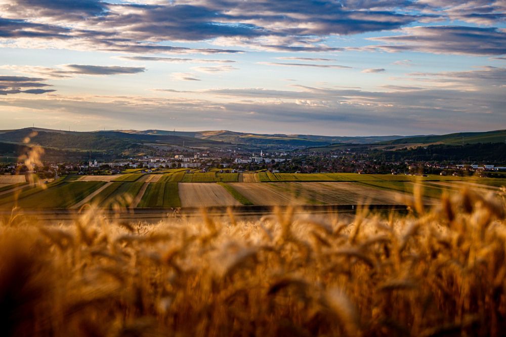 Photograph by Vlad Badau