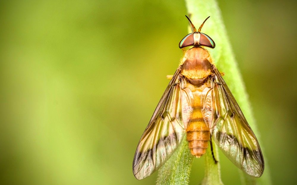 Photograph by Eduardo Bom