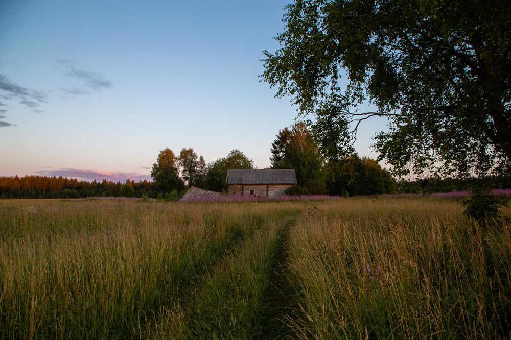 Photograph by Александр Мамойлов