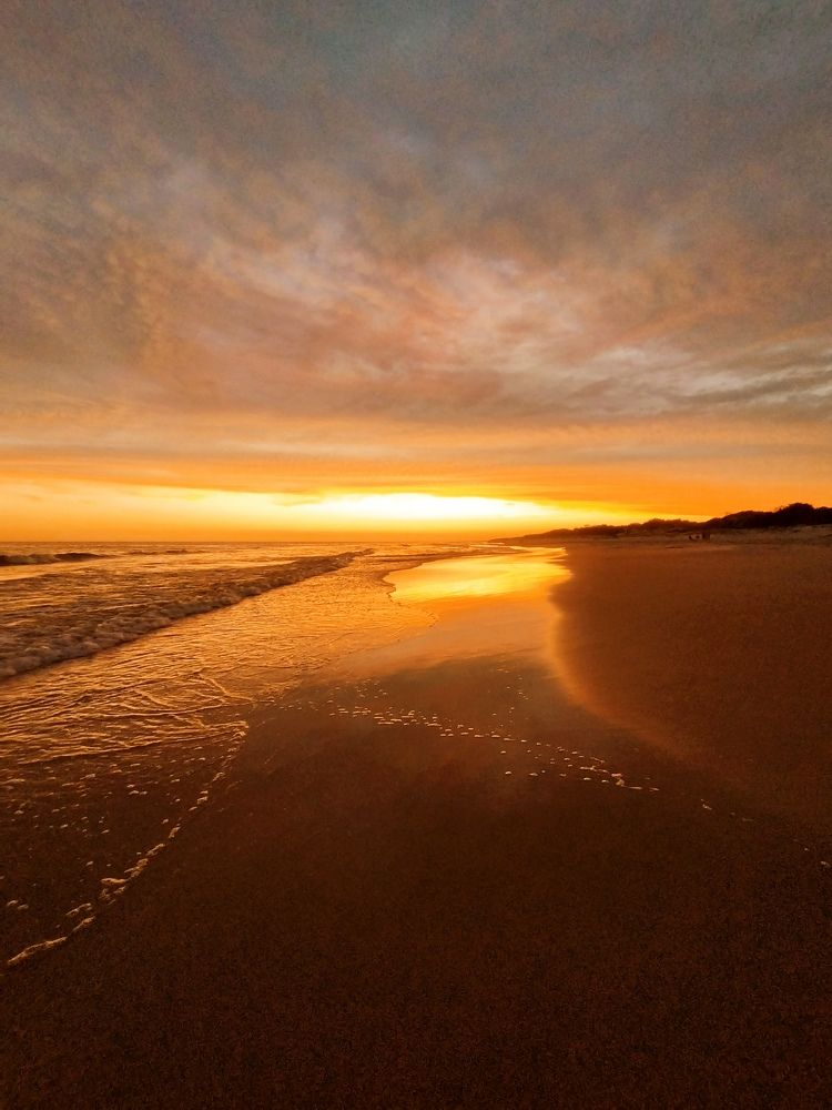 Photograph by Lourdes Cajigal