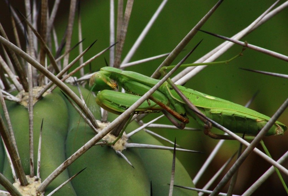 Photograph by Berk Karacin