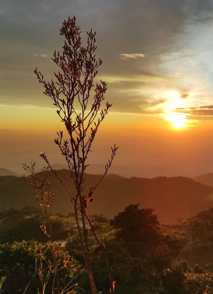 Photograph by  Oscar Simon Wiryahanjaya