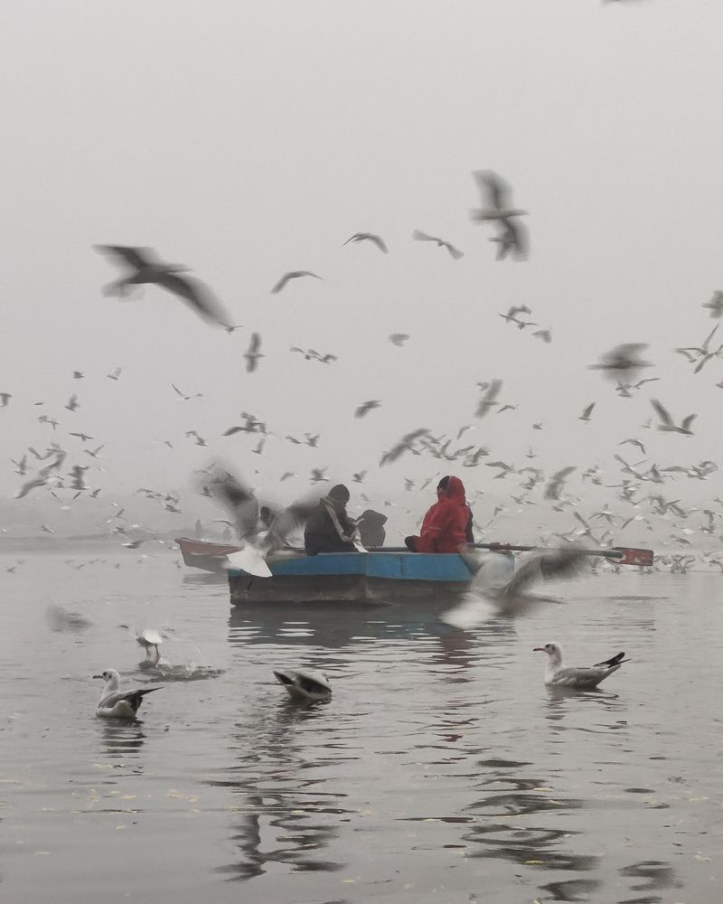 Photograph by SHADMAN UR RAHMAN