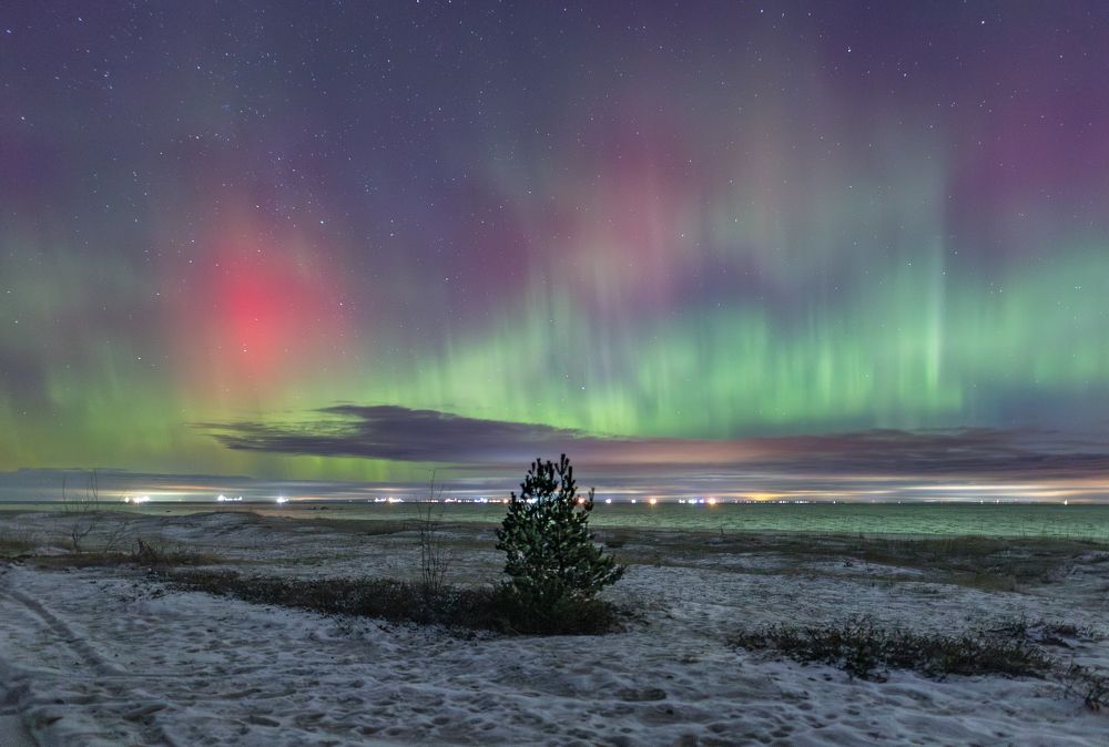 Photograph by Дмитрий Макинский