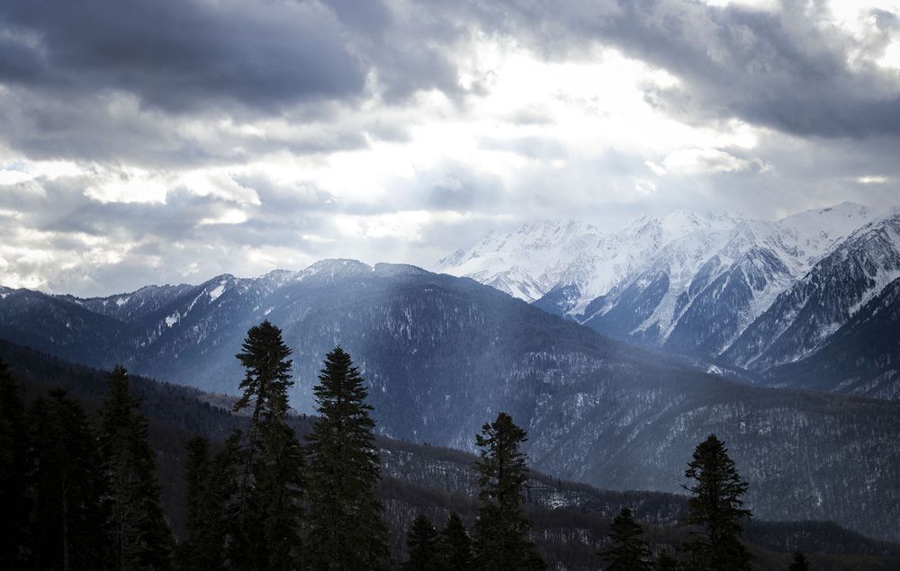 Photograph by Клюков Виталий