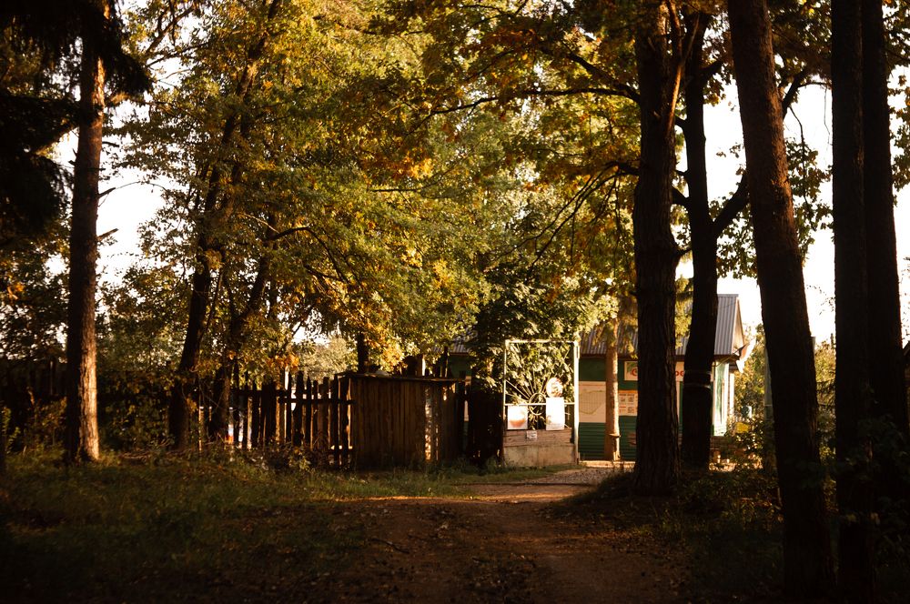 Photograph by Stanislav Shelby