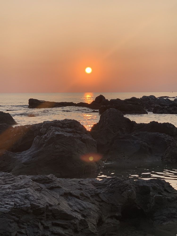 Photograph by Karolina Tutaj