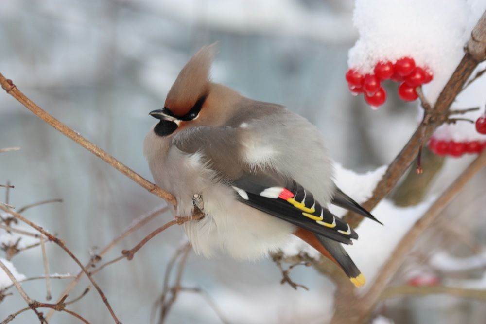 Photograph by Елена Смирнова
