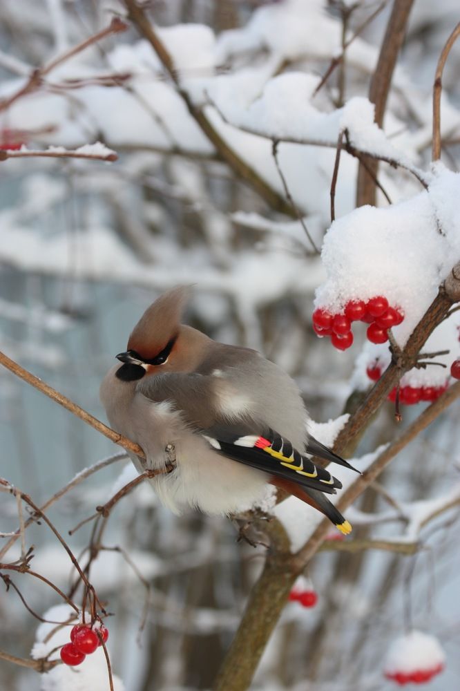 Photograph by Елена Смирнова