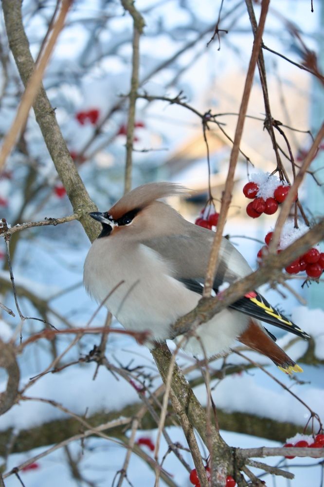 Photograph by Елена Смирнова