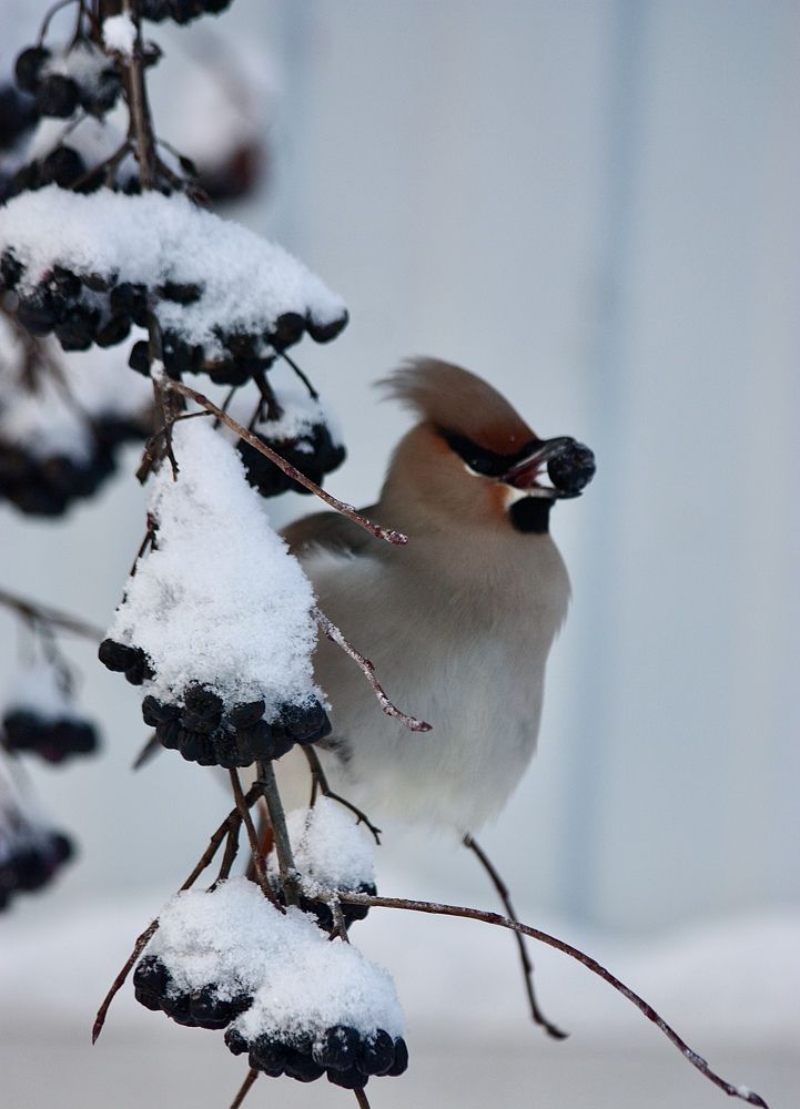 Photograph by Елена Смирнова