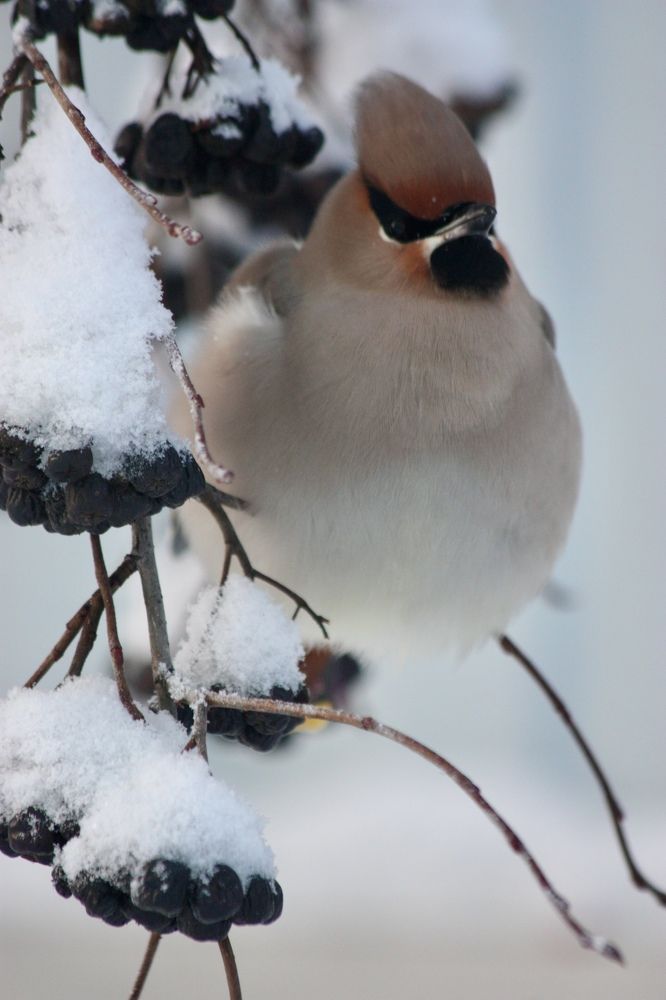 Photograph by Елена Смирнова
