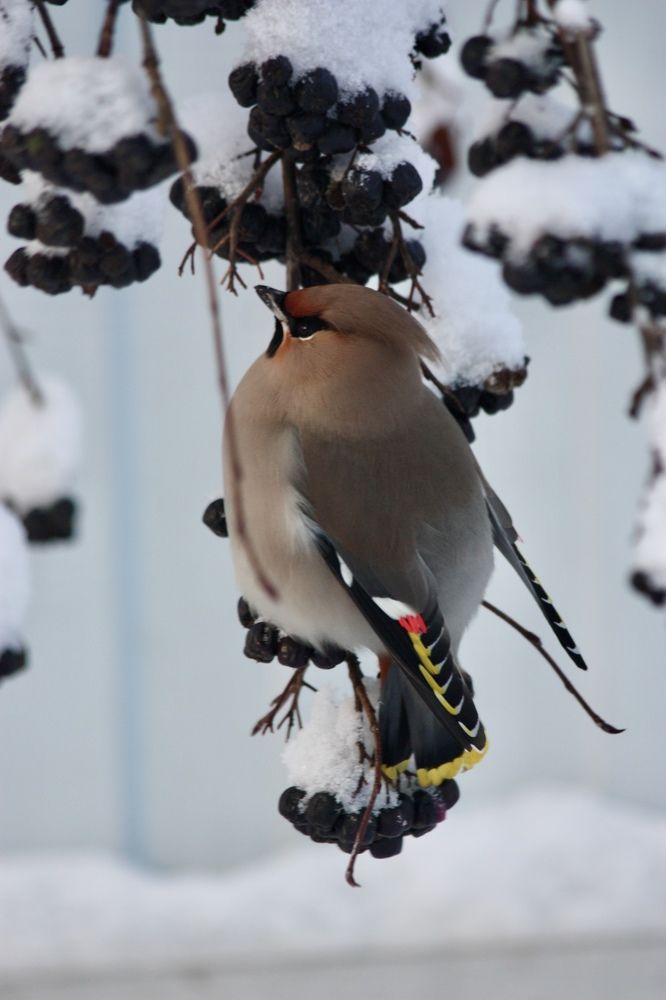 Photograph by Елена Смирнова