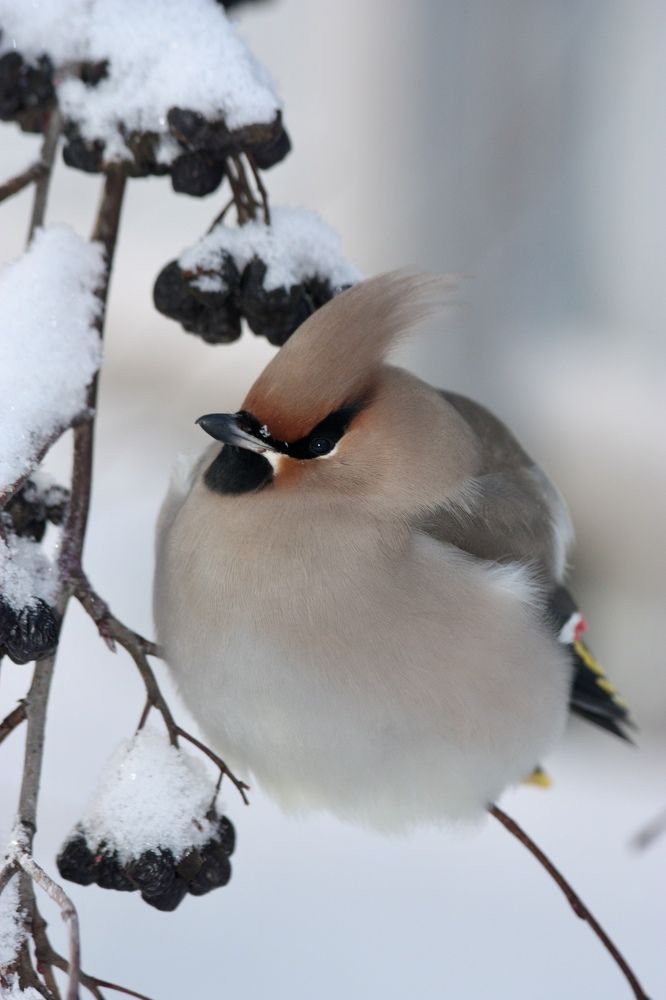 Photograph by Елена Смирнова
