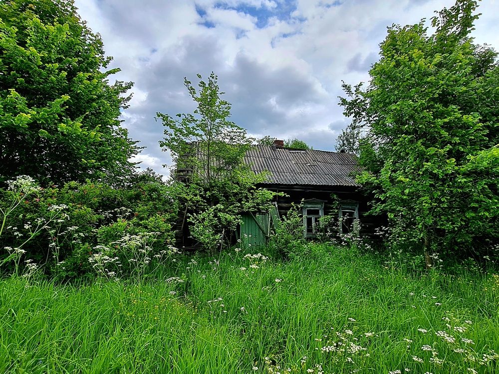 Photograph by Ирина Синягина