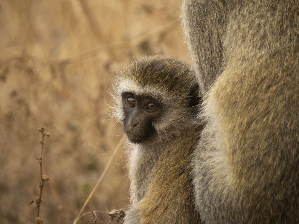 Photograph by Alex Chege