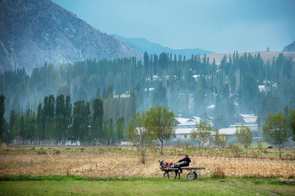 Фотография автора Ахмат Байсиев