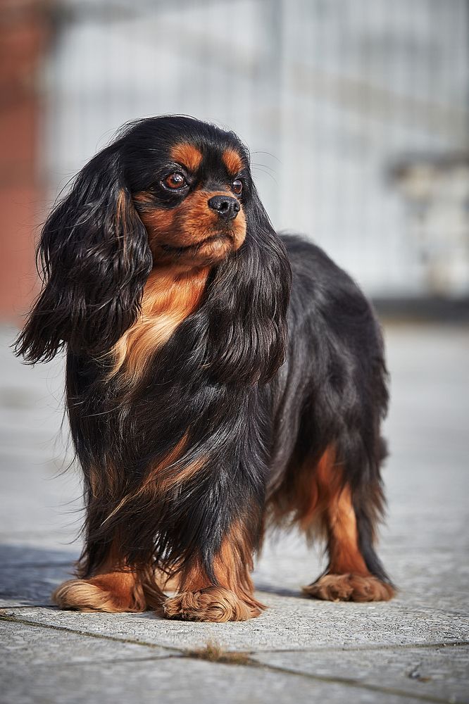 Фотография автора Вострецов Иван