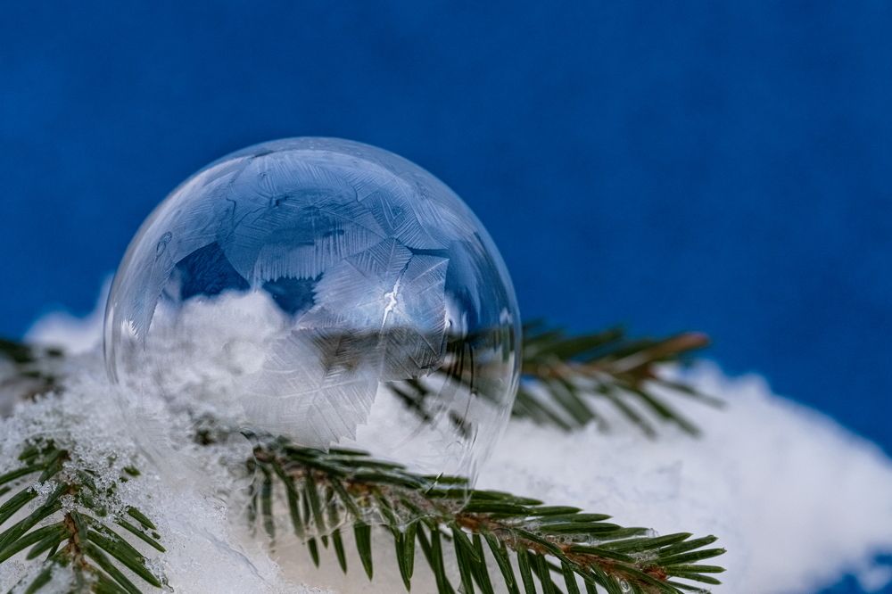 Photograph by Николай Фонарёв