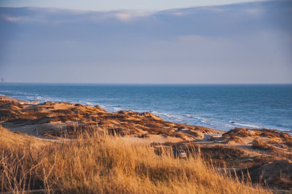 Photograph by Дарья Молчанова