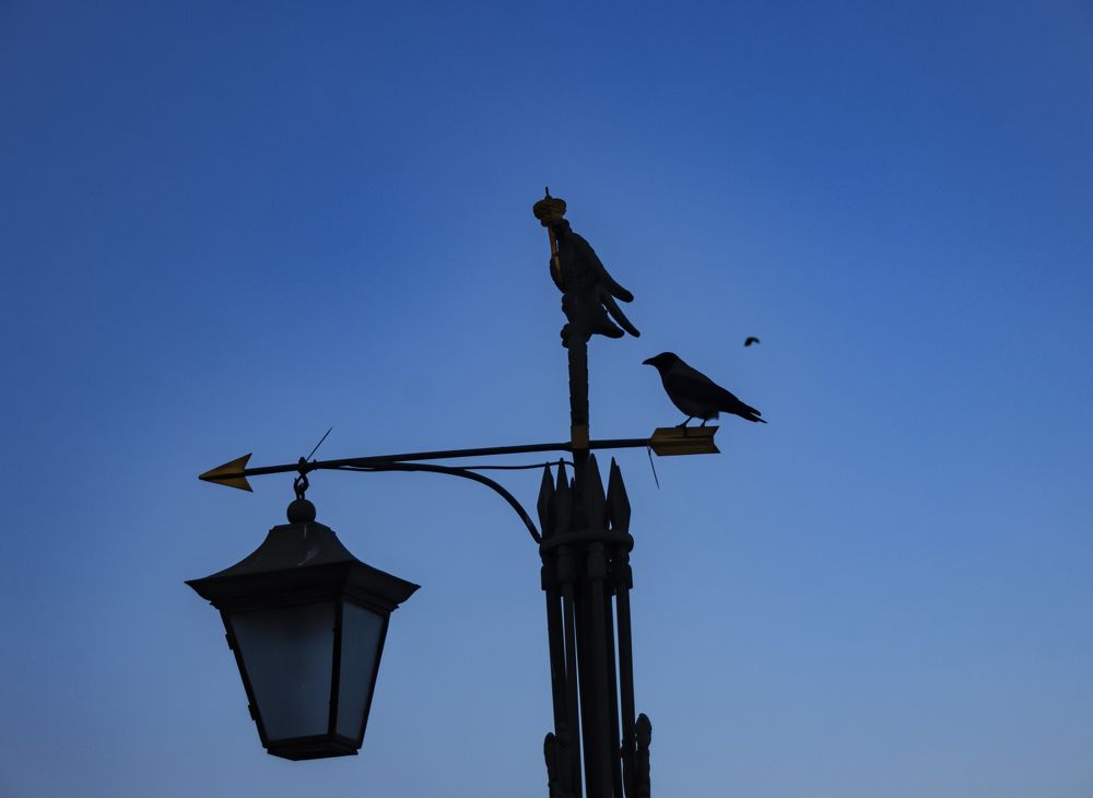 Photograph by Галина Ильясова