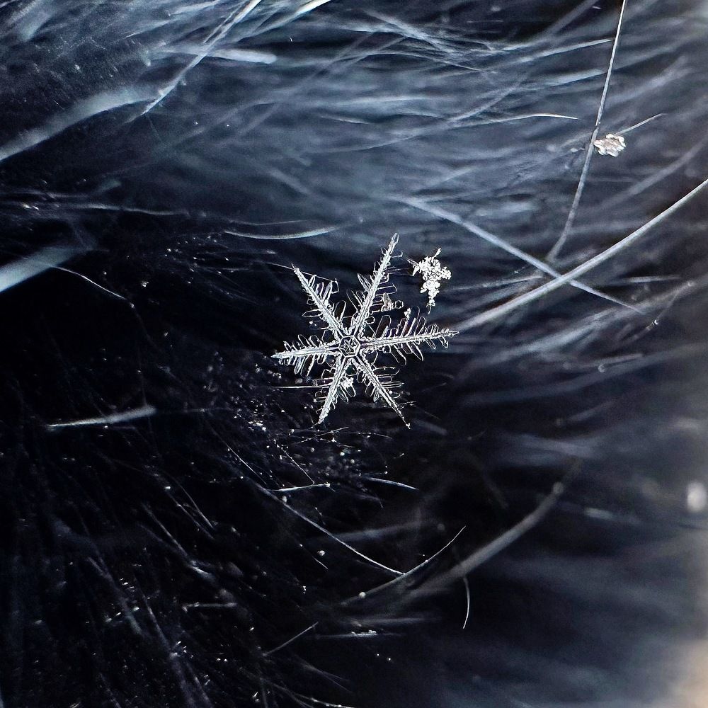 Photograph by Татьяна Галаева