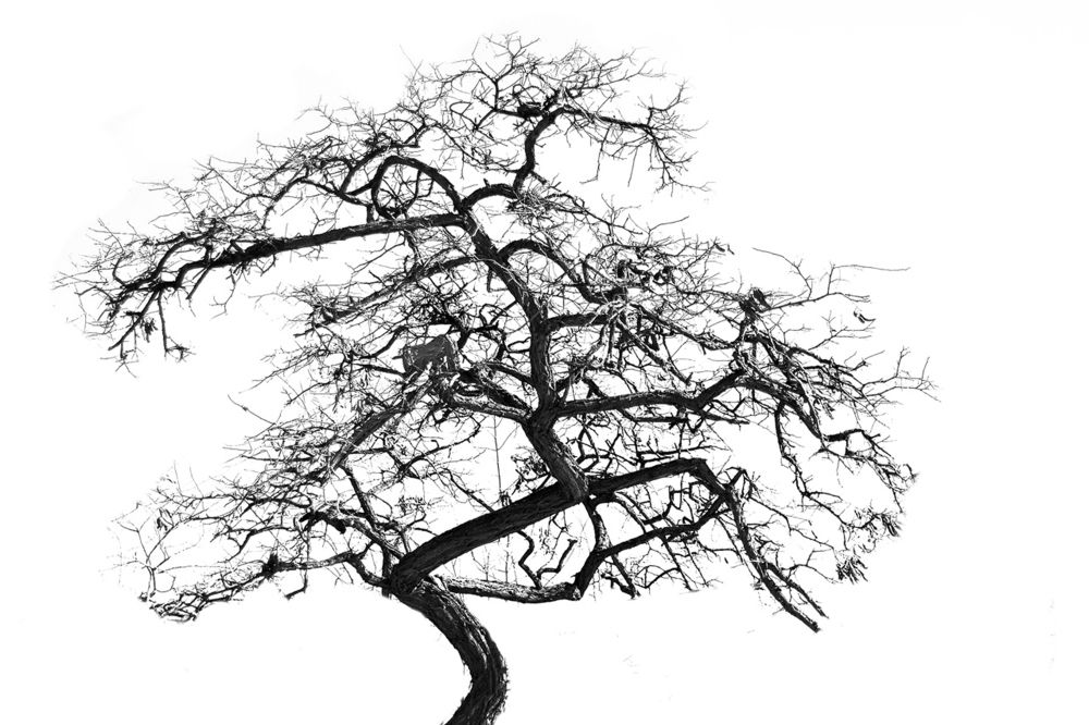 Photograph by Cергей Абакумов